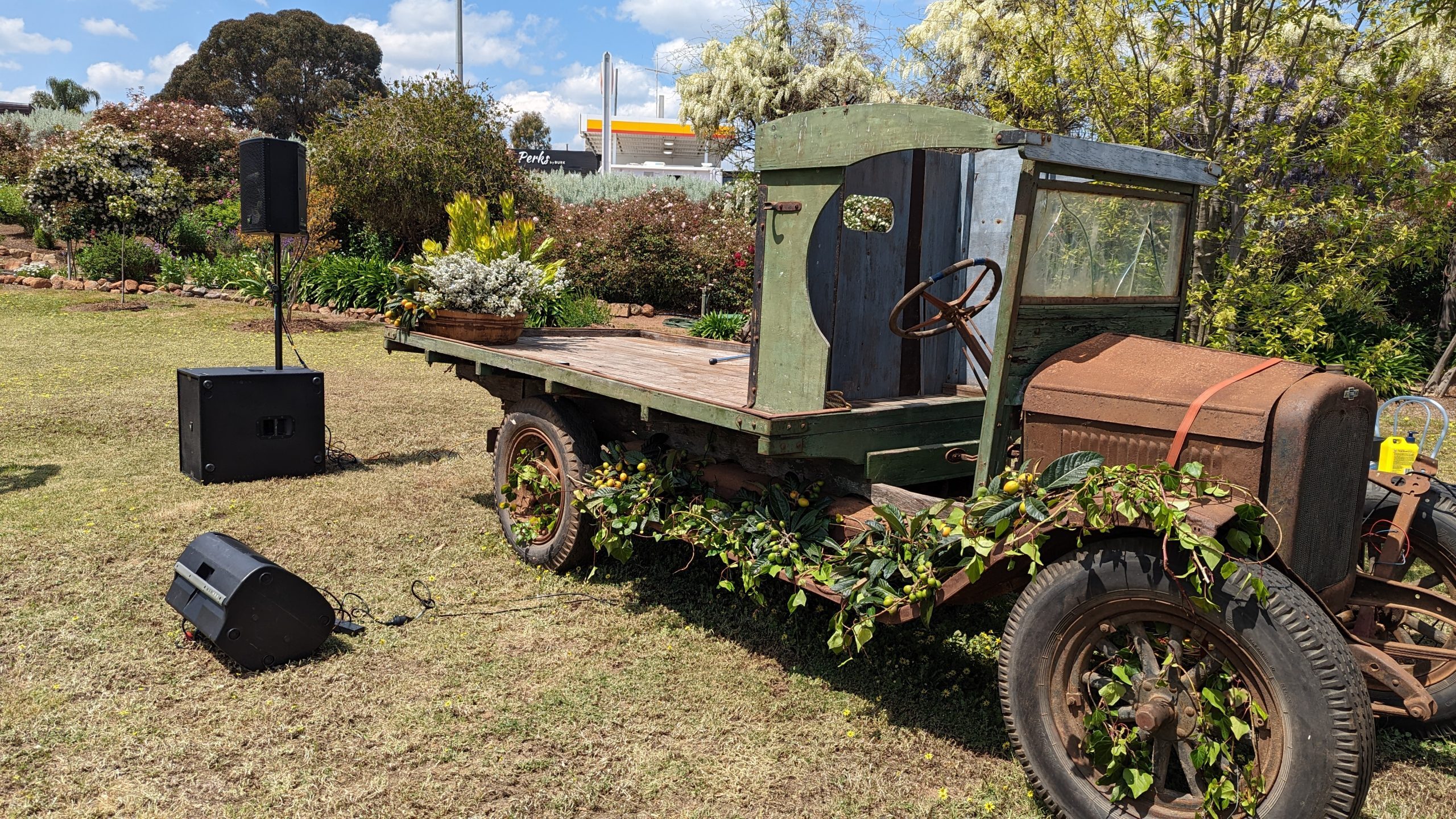 Outdoor cinema wedding Perth under the stars